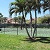 Tennis Courts